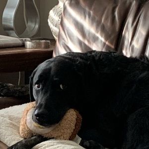 Meet your Posher, Charlene